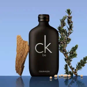 Calvin Klein CK Be EDT – 100ml