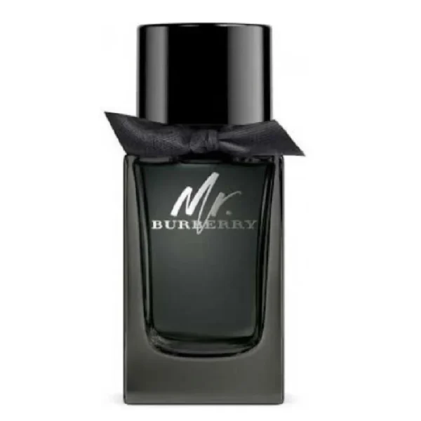 Mr Burberry EDP for Men – 100ml - Image 2